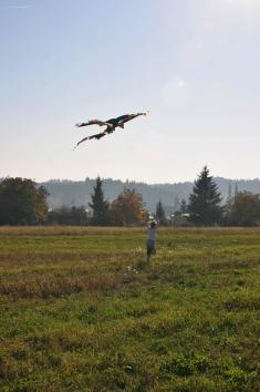 Drakiáda 2012